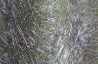 St Johns Town Of Dalry fibreglass roof work